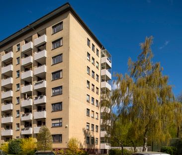 Erstbezug nach Sanierung - Foto 1