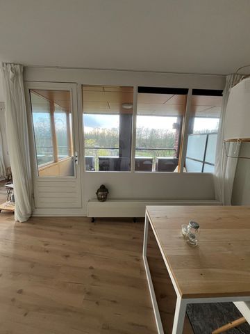 Wipstrikpark 101 - Foto 4