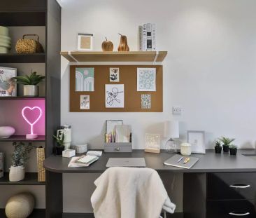 Bronze Studio Plus - Photo 2