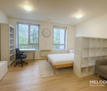 STUDIO GEM IN THE HEART OF LYGON STREET - FURNISHED - Photo 5