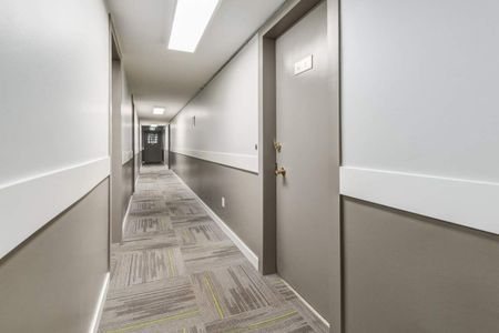 Renovated Suite - 1 Bedroom - Photo 5