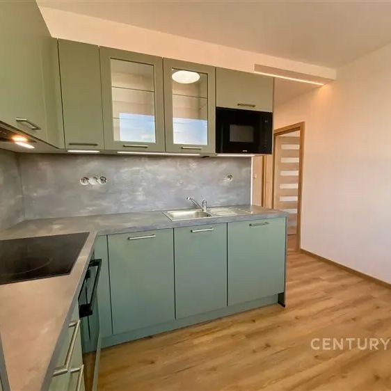 Pronájem bytu 1+1 po rekonstrukci, 30 m - Fotografie 1