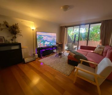 Darlinghurst - Photo 6