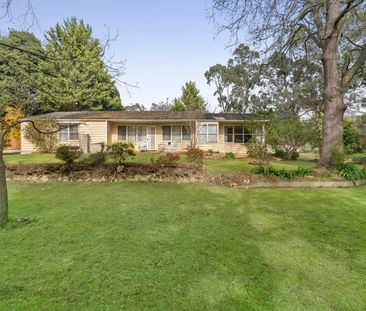 Comfortable Family Home with Flexible Living in Quiet Croydon Pocket - Photo 5