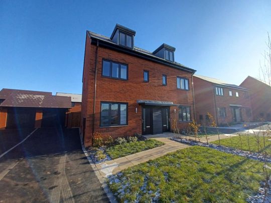 3 bedroom House To Let - Photo 1