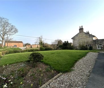 Available as a Company Tenancy, this delightful and recently refurb... - Photo 3