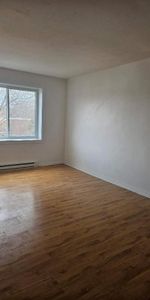 1 CH - 1 SDB - Montréal - $1,245 /mo - Photo 3