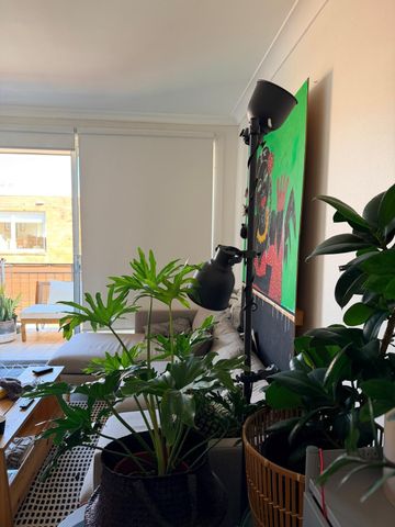 Bondi Beach - Photo 5