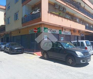 Multilocale in affitto - Photo 2