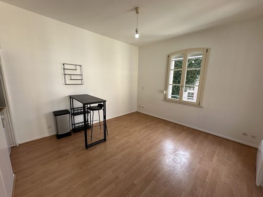 Location Appartement 1 pièce 24m² STRASBOURG 67000 - Photo 1