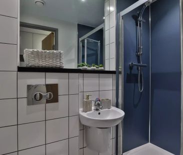 Bronze Studio Plus - Photo 4