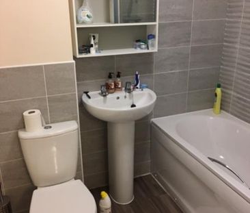 Cherry tree Dive, Coventry, White Willow - Photo 1