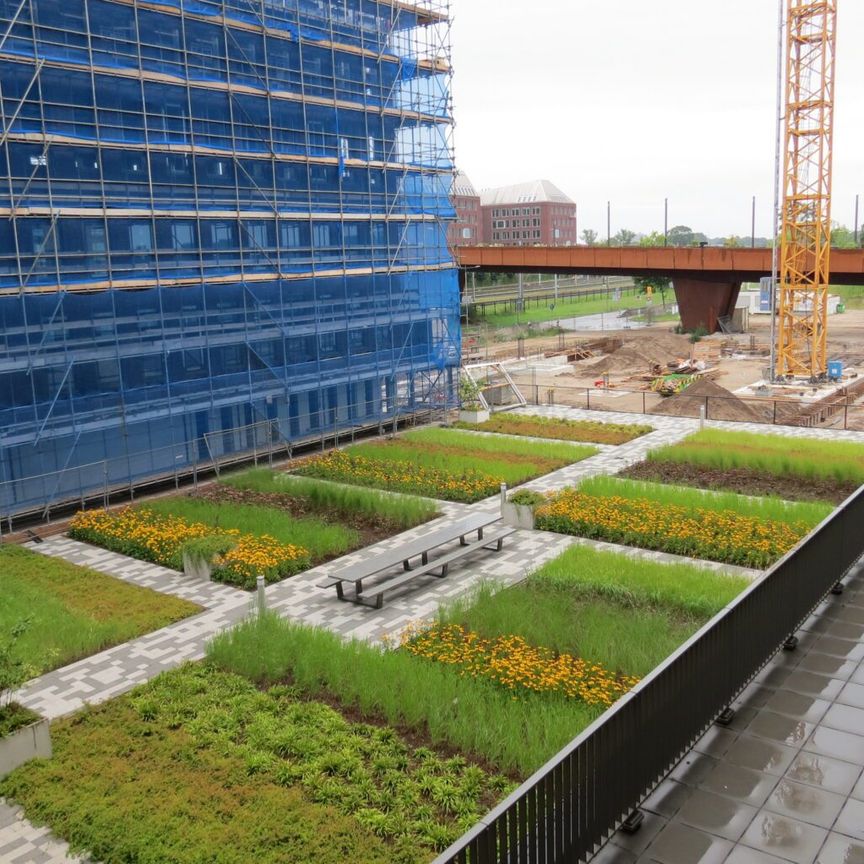 Spiegeltuin 158 - Foto 1