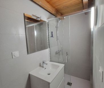 Location Appartement 1 pièce 25m² - Photo 3