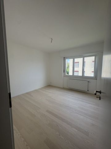 Bel appartement complètement rénové de 3.5 pcs avec vue sur lac - Photo 4