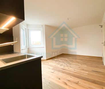 Modernes 1 Zimmerwohnung/Appartement/Studio in Gontenschwil AG - Foto 4