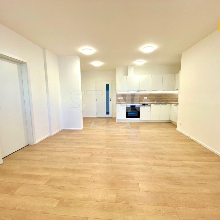Byt 3+kk k pronájmu, Opava / Kateřinky, ulice Holasická - Photo 1