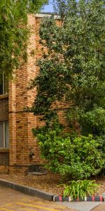 Spacious Two Bedroom Apartment in an Ideal Location - Photo 4