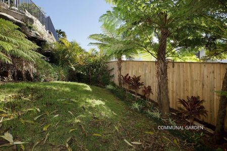 2/361 Edgecliff Road, - Photo 5