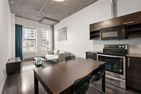 Appartement à louer, Montréal (Ville-Marie) - Photo 3