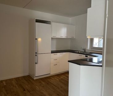 Stue lejlighed med god syd/vestvendt terrasse - Photo 5