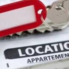 Location Appartement 1 pièce 19m² ST MALO 35400 - Photo 2