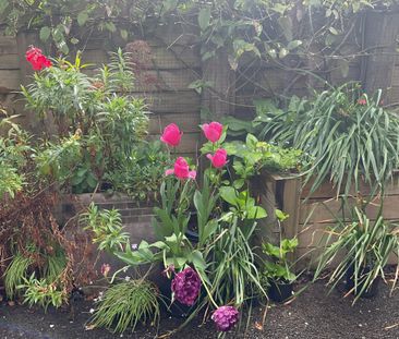 START THE NEW YEAR IN STYLE - Photo 2