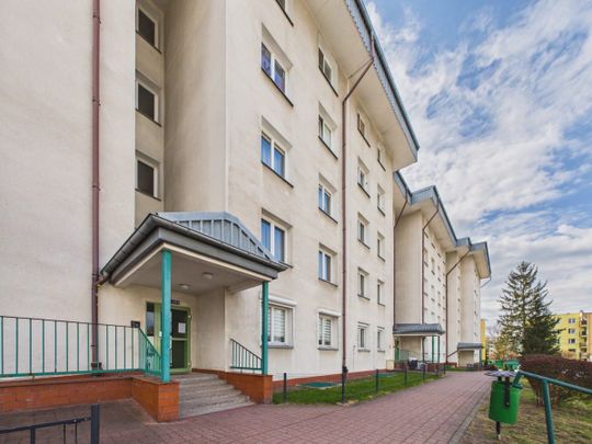 Duże, trzypokojowe mieszkanie na wynajem 66.8 m² - Photo 1