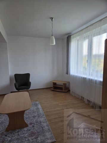 Pińska, ZACHODNIOPOMORSKIE, GUMIEŃCE, Szczecin - Zdjęcie 3