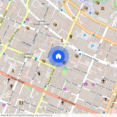 22 - 3 Kelvin Grove, , Te Aro