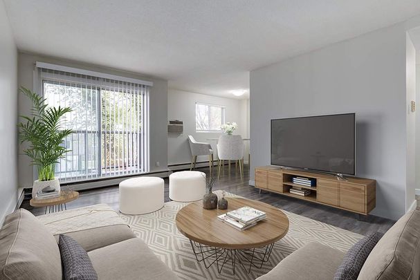 Renovated Suite - 2 Bedroom - Photo 1