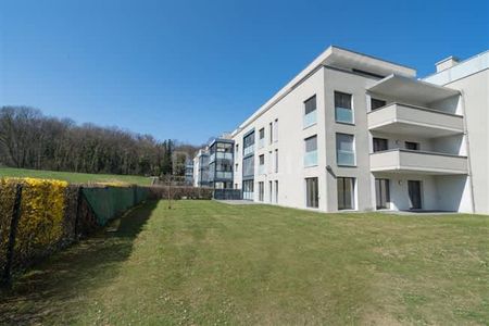 6.5 Zimmer, EG - Photo 4