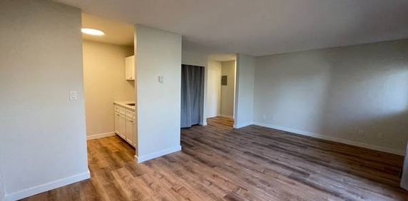 1 Bedroom Suite at 1022 Pandora Ave - Photo 2