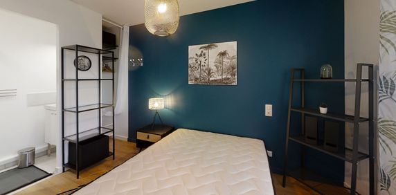 LARRAMET Roommate 3 Bedrooms at Toulouse - Photo 2