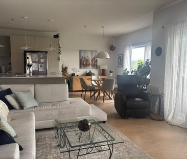 Grand 41/2 Plus, Libre 1er Novembre, petits animaux acceptés - Photo 3