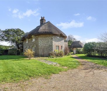 A stunning, detached, thatched house nestled within the West Dean E... - Photo 4