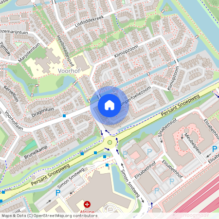 Kamperfoeliezoom, 16, Leiderdorp