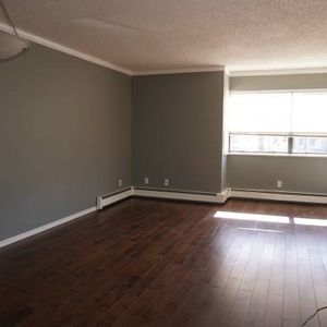 one bedroom apartment for rent in Dunbar area - Photo 2