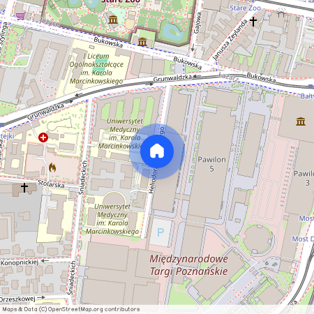 ul. Heliodora Święcickiego, Łazarz, Grunwald, Poznań, wielkopolskie