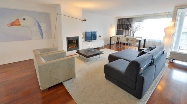 Pieter de Hoochstraat 19F, 1071 ED, Amsterdam - Photo 1