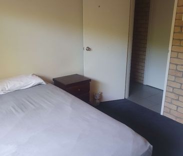 Palm Beach - Photo 4