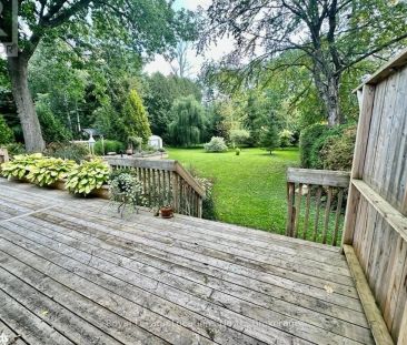 305 ELIZA Street #Lower - Photo 6