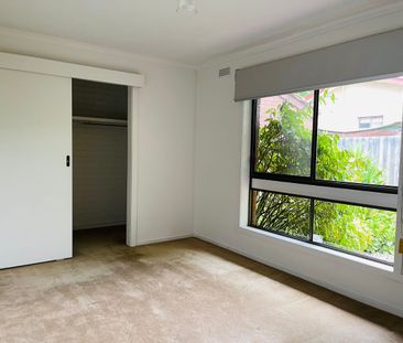 Spacious, Secluded and Renovated to Perfection! - Photo 1