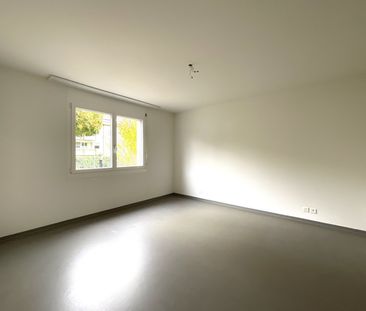 Rent a 4 ½ rooms apartment in Starrkirch-Wil SO - Photo 5
