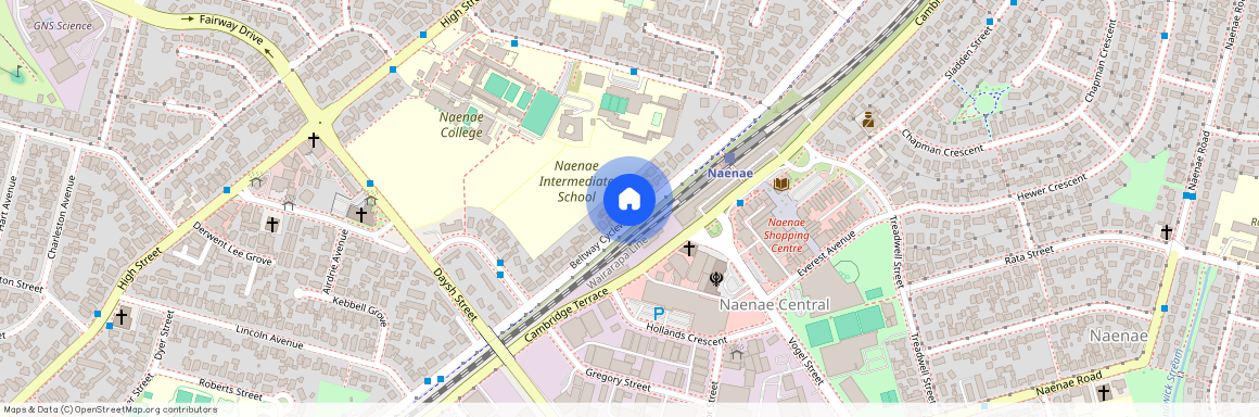 198 Oxford Terrace, Welllington Hutt Valley, Avalon