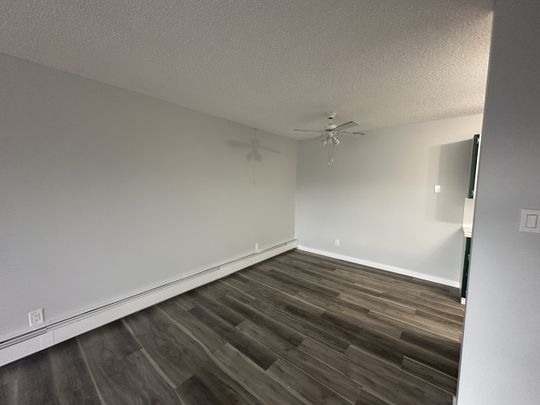 Small Pet Friendly Spacious 3-Bedroom Apartment - Photo 1