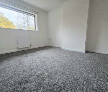 Cousin Lane - Photo 4