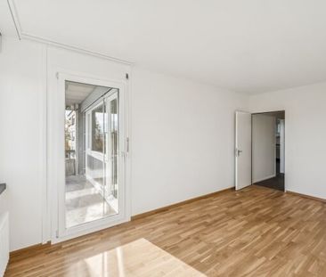 Looking for a new home - Foto 3