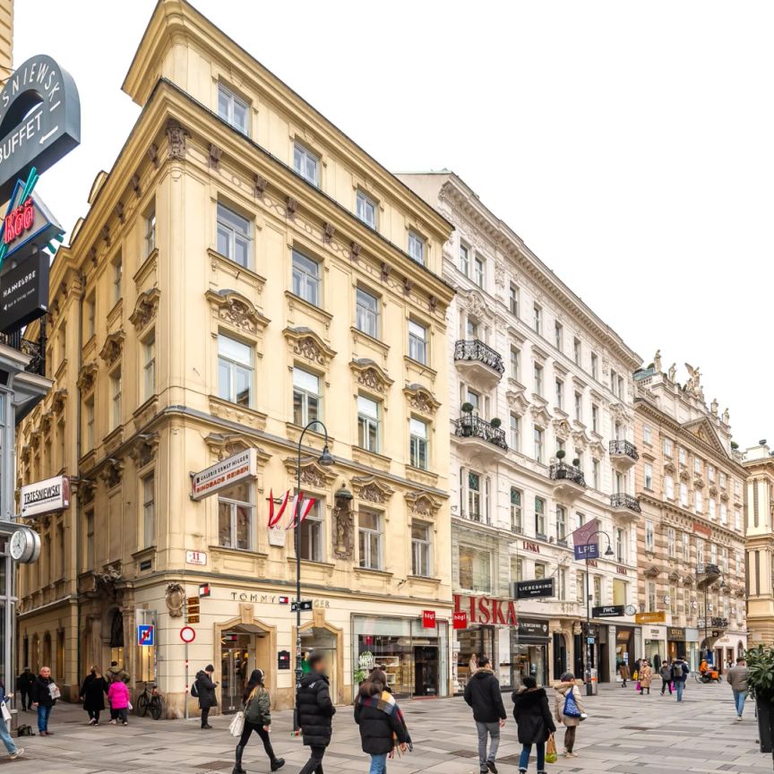 traumhafte 3 Zimmer DG-Wohnung mit großem Wohnsalon in Bestlage * mit Blick zum Stephansdom * - Foto 1