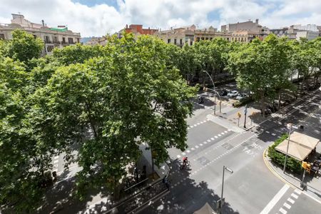Gran Via de les Corts Catalanes, Barcelona, Catalonia 08015 - Photo 4